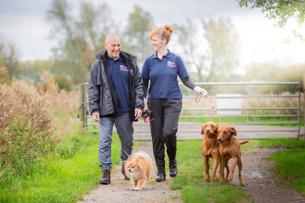 Anita and Steve from We Love Pets Norwich walking three dogs