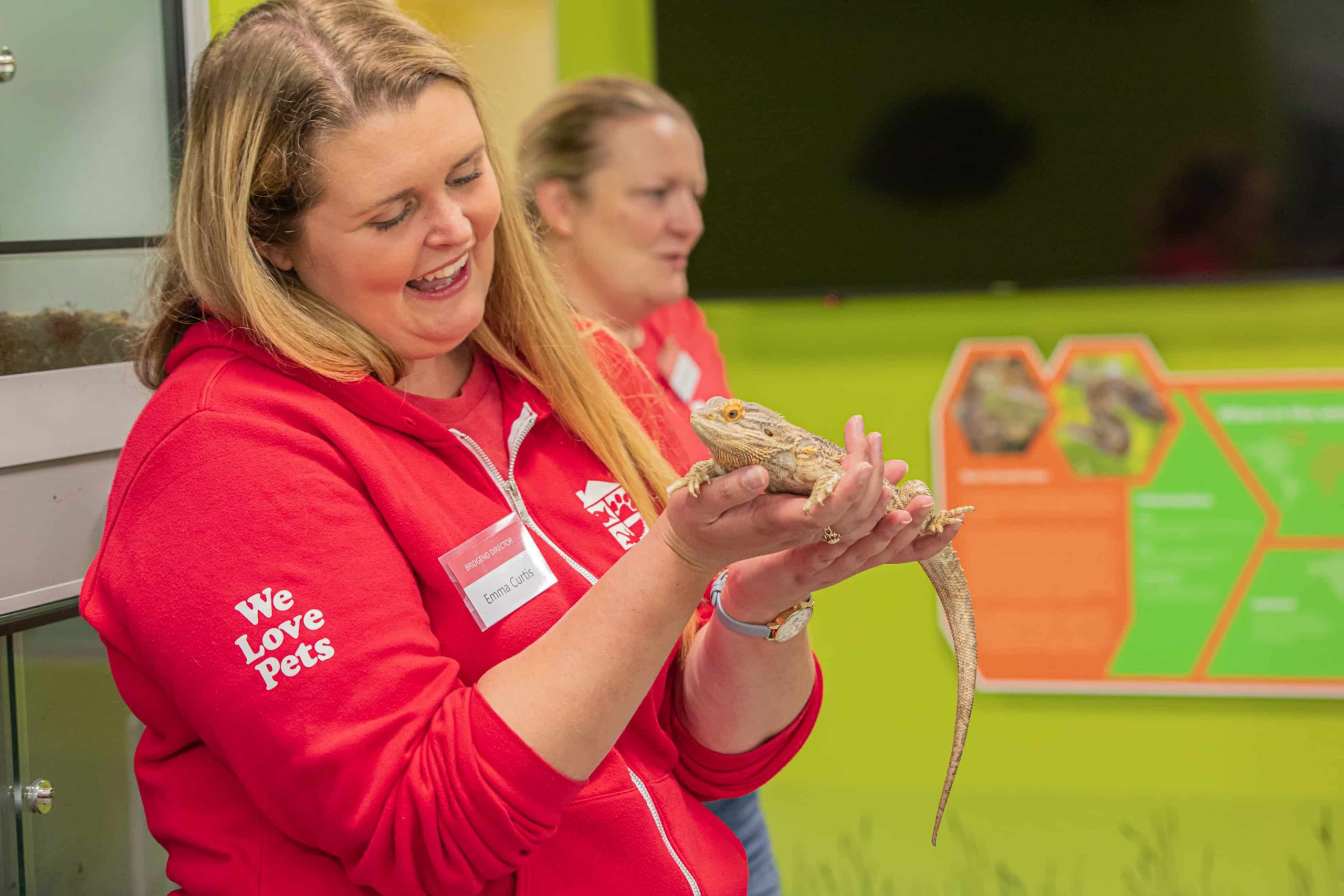 We Love Pets | Bearded Dragon