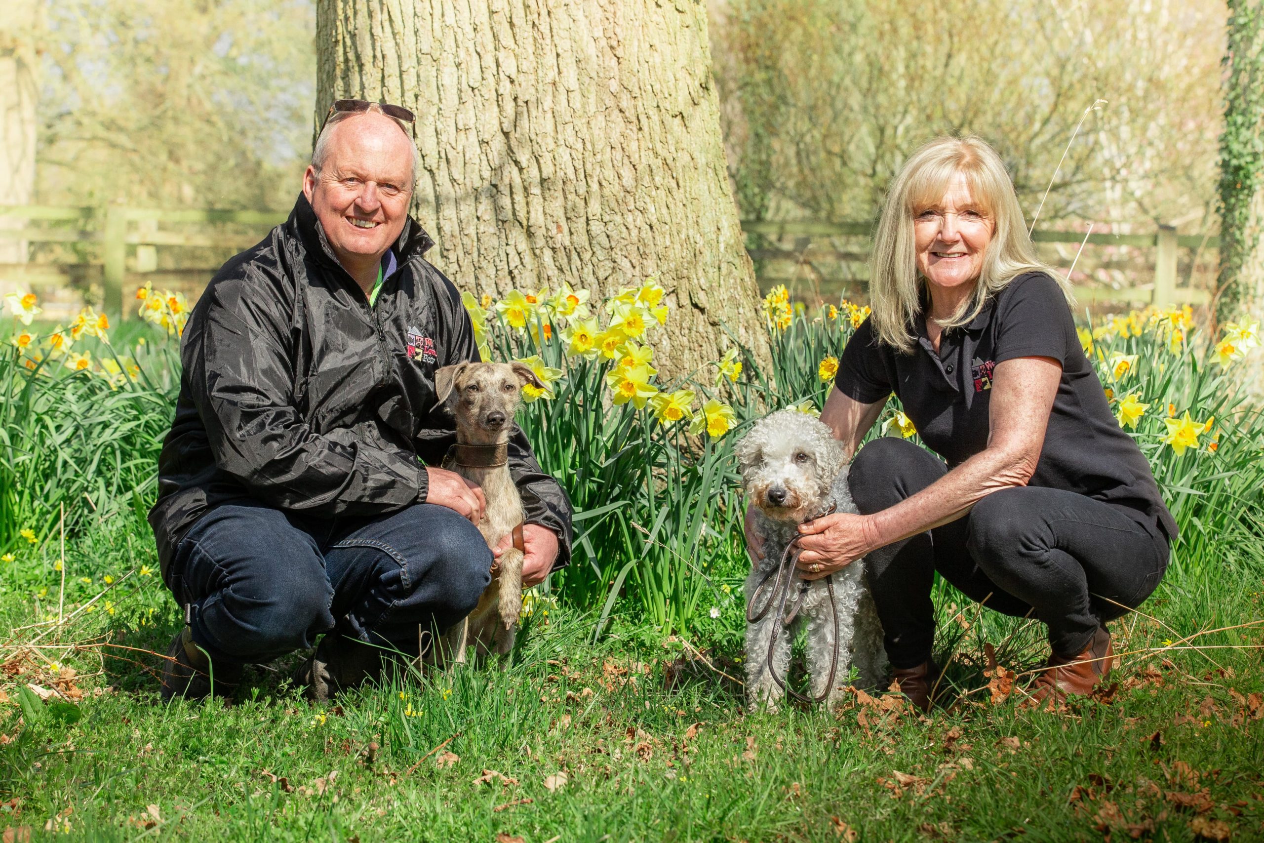 Dog Walker Altrincham, Pet Sitter, Dog Boarding | We Love Pets