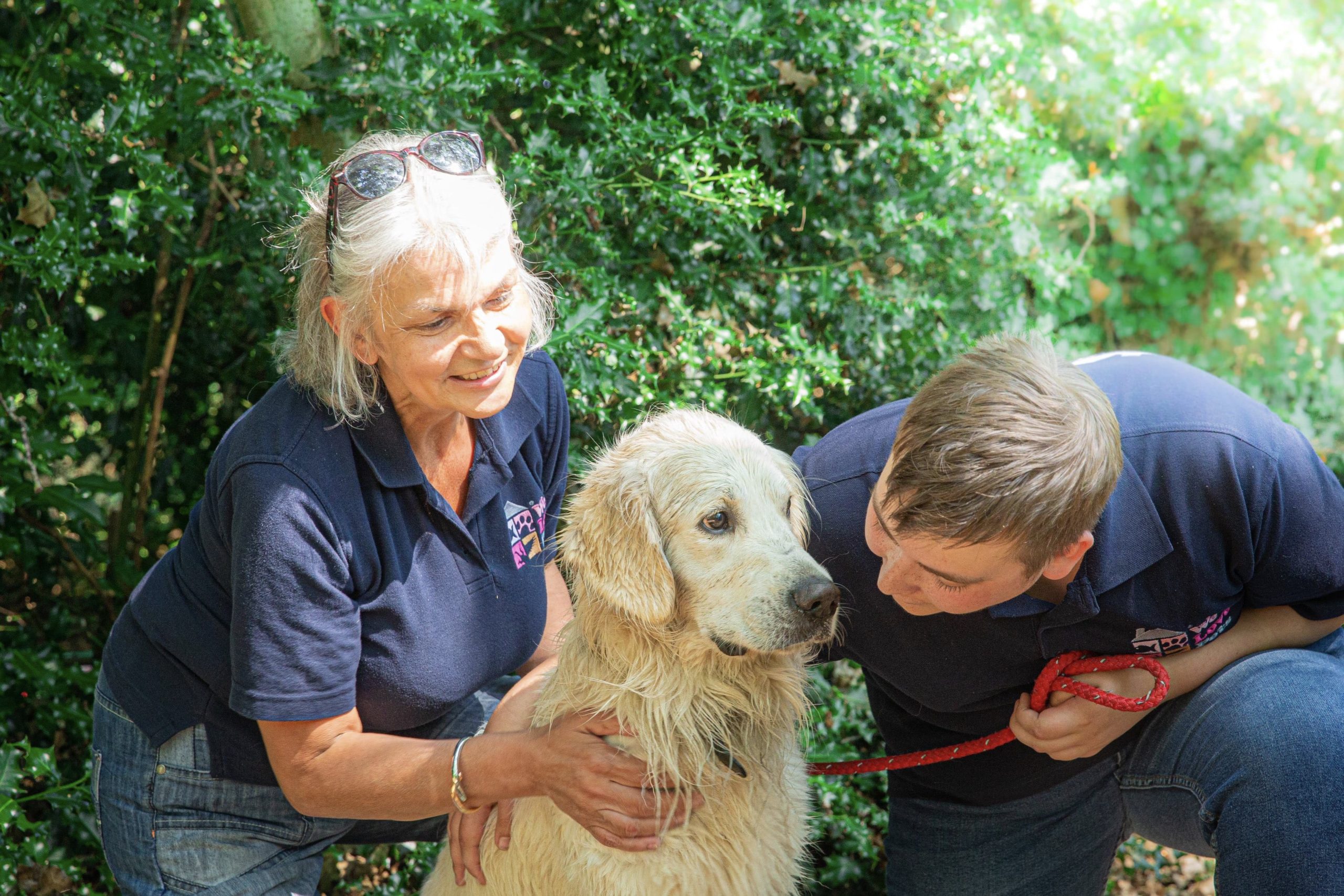 Dog being pet by two people