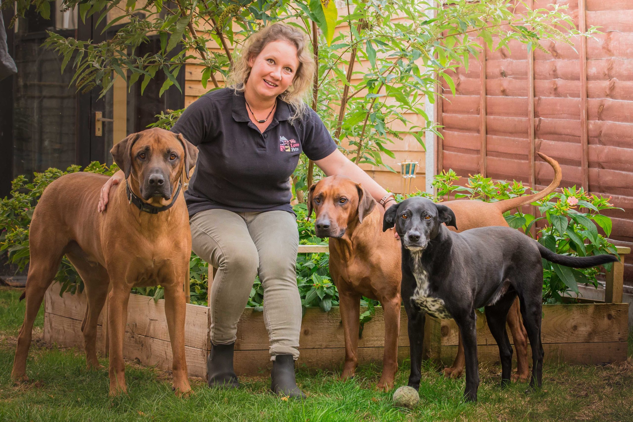 Kelly sat next to three dogs