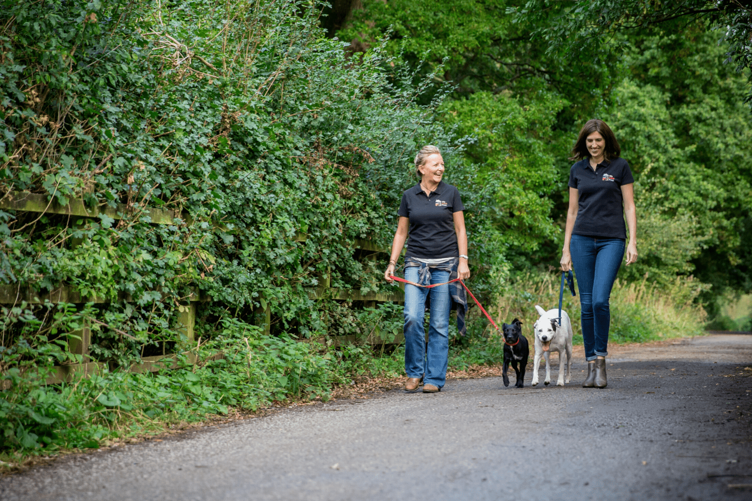 Two woman walking dogs on leads