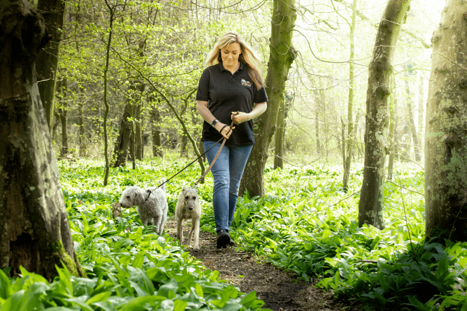 Woman from We Love Pets Farnborough walking two dogs in a forest