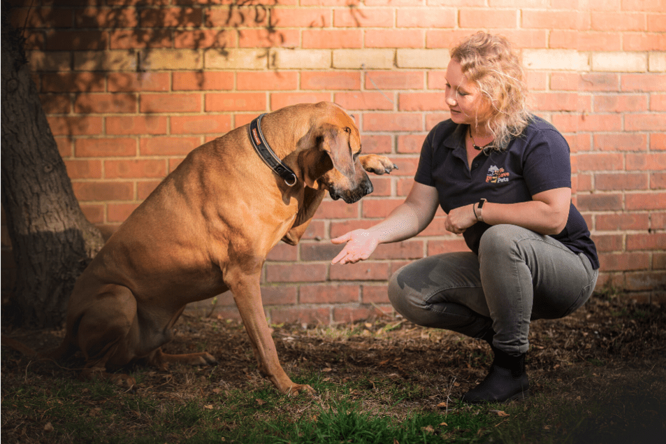 Woman crouching with a dog holding it's paw out Romford