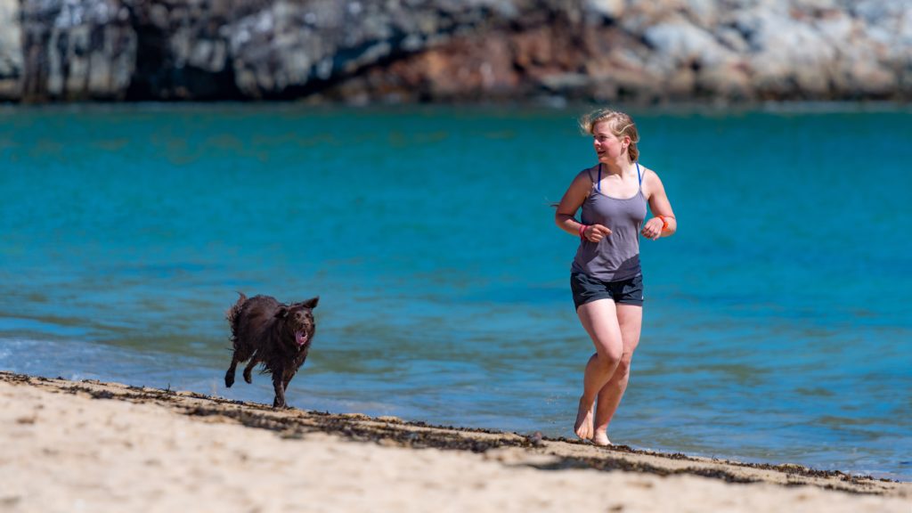 Woman and dog running on a beach
