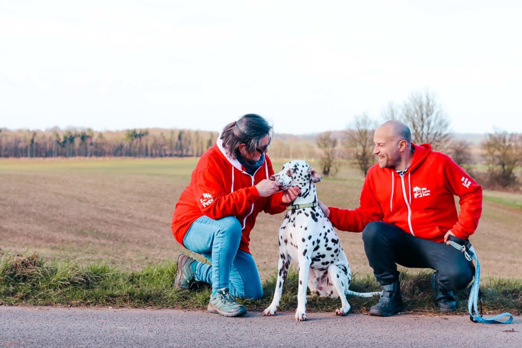 Dog walkers kneeling with dalmatian dog