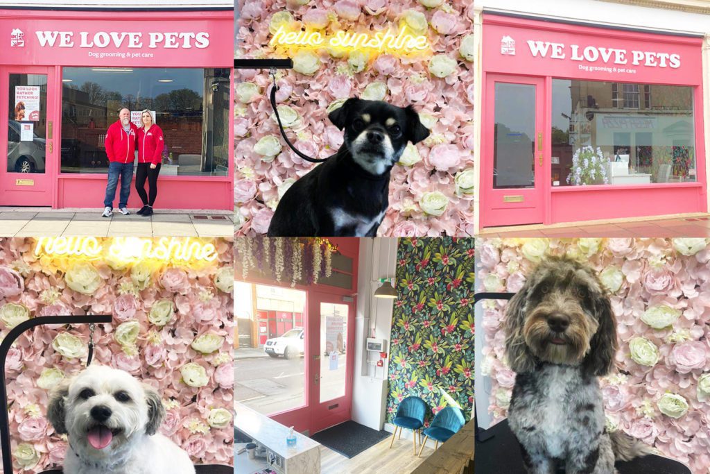 We Love Pets dog grooming and pet care salon