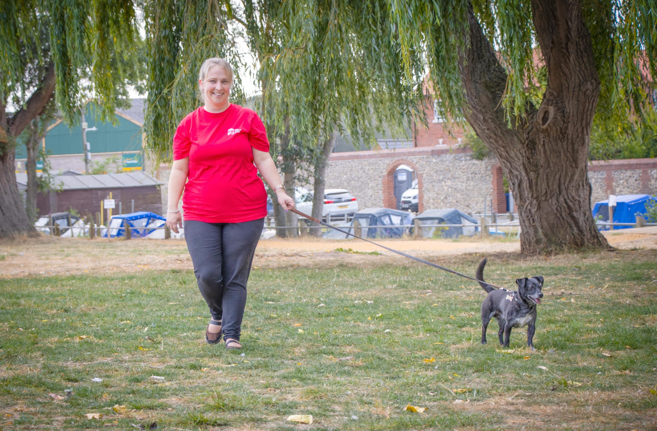 Chelmsford dog walker
