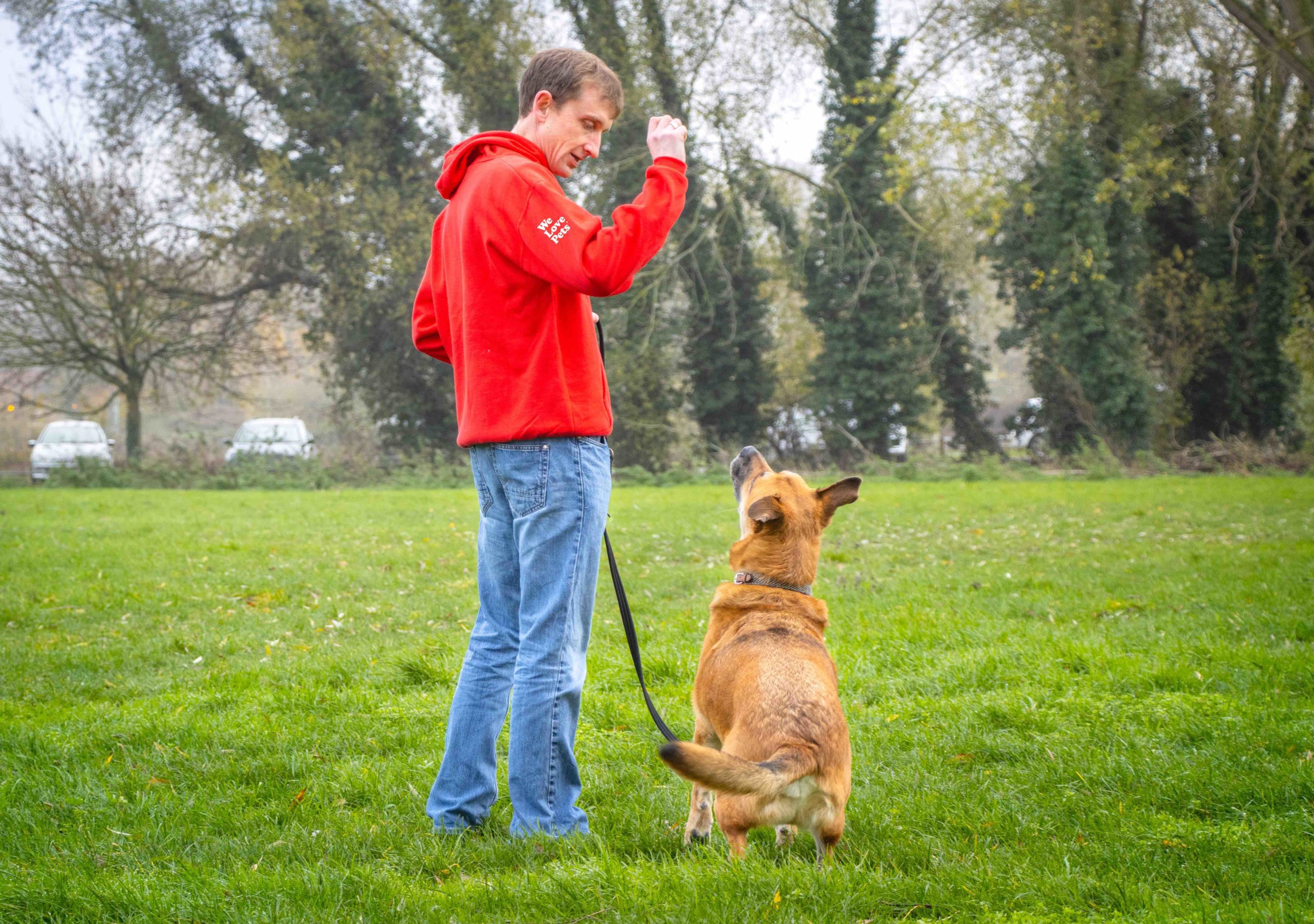 Dog Walker in Livingston - Bryan Sharp of We Love Pets