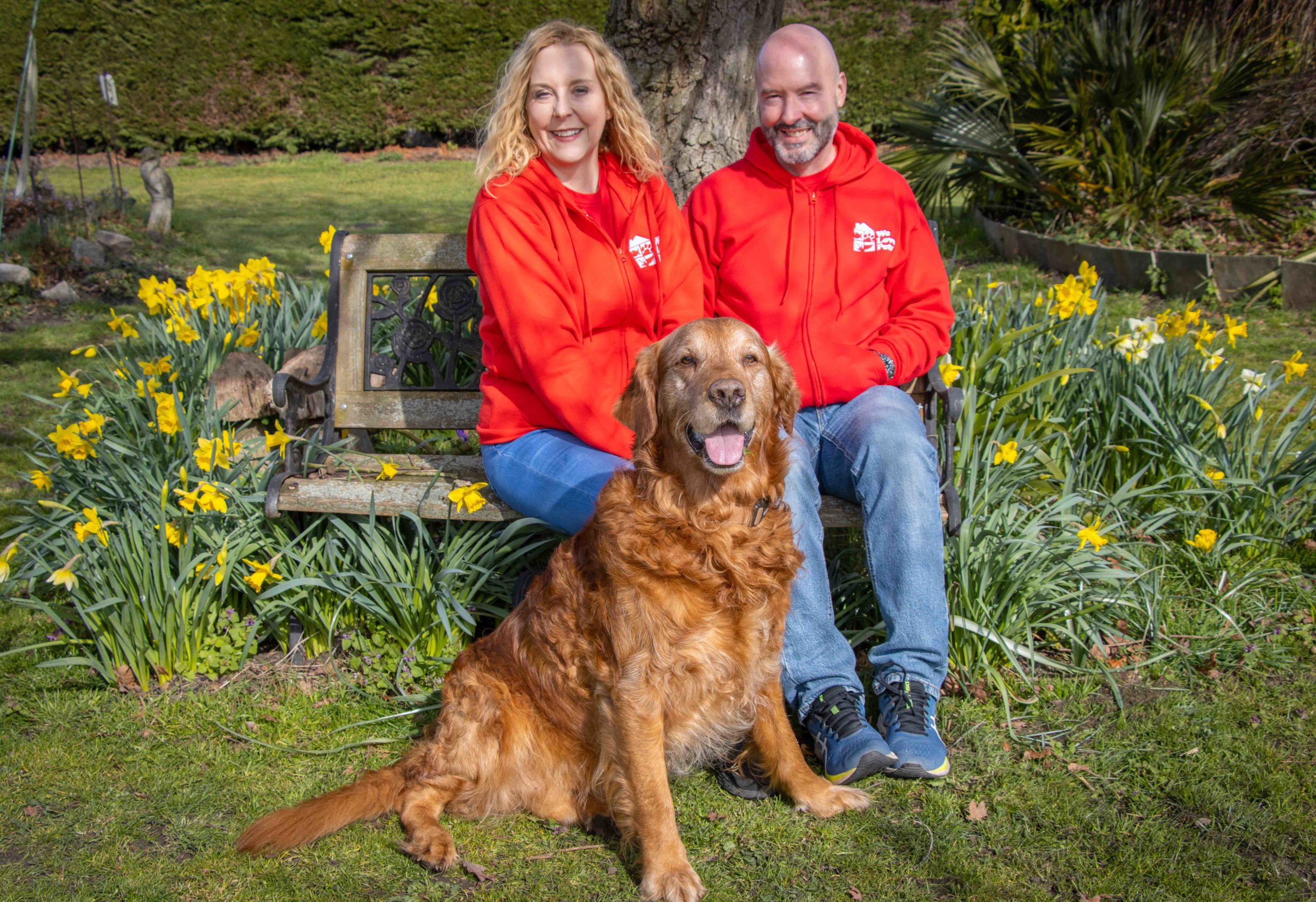 Dog walker in Whitehaven