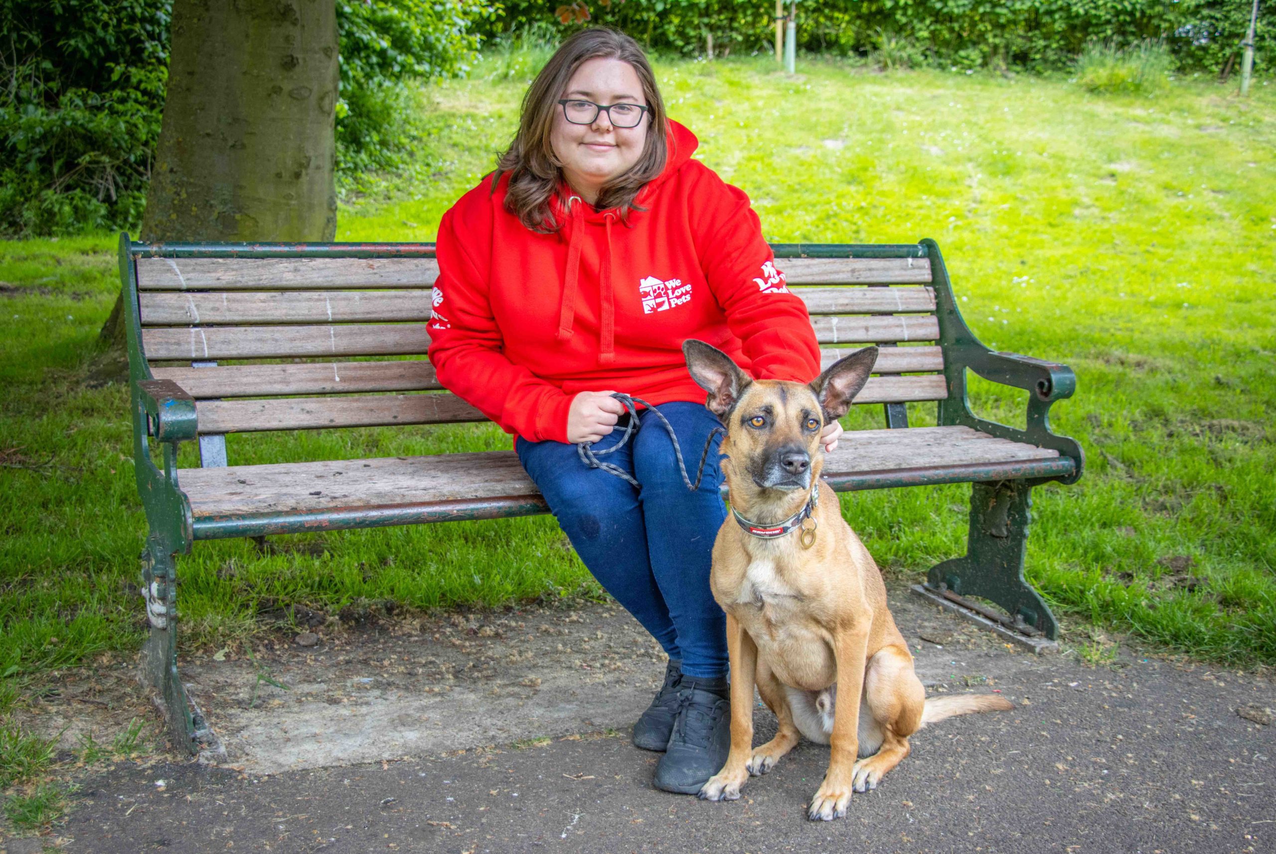 Dog walker and dog sitter in Hatfield Peverel