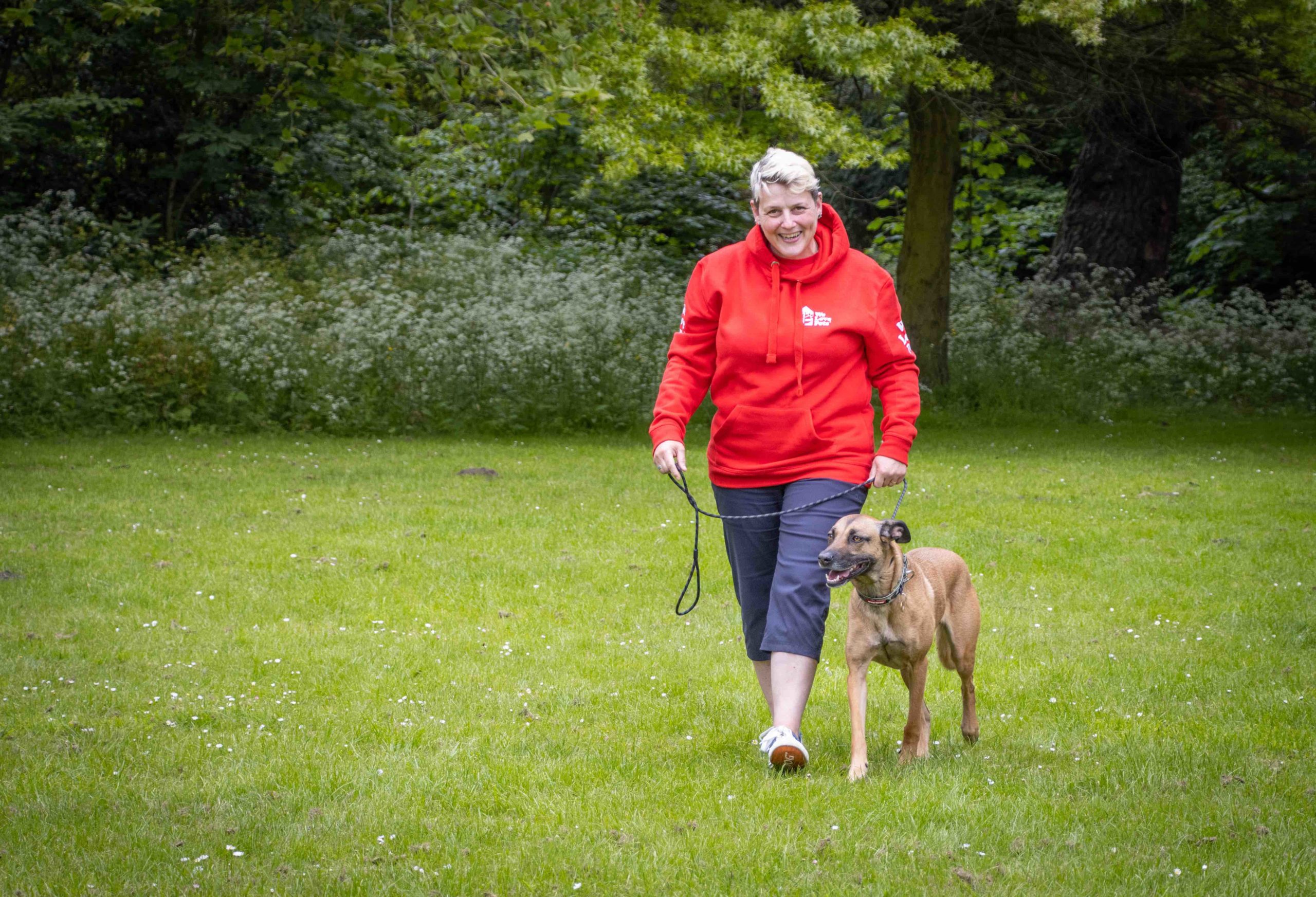 Dog walker for Clevedon - We Love Pets