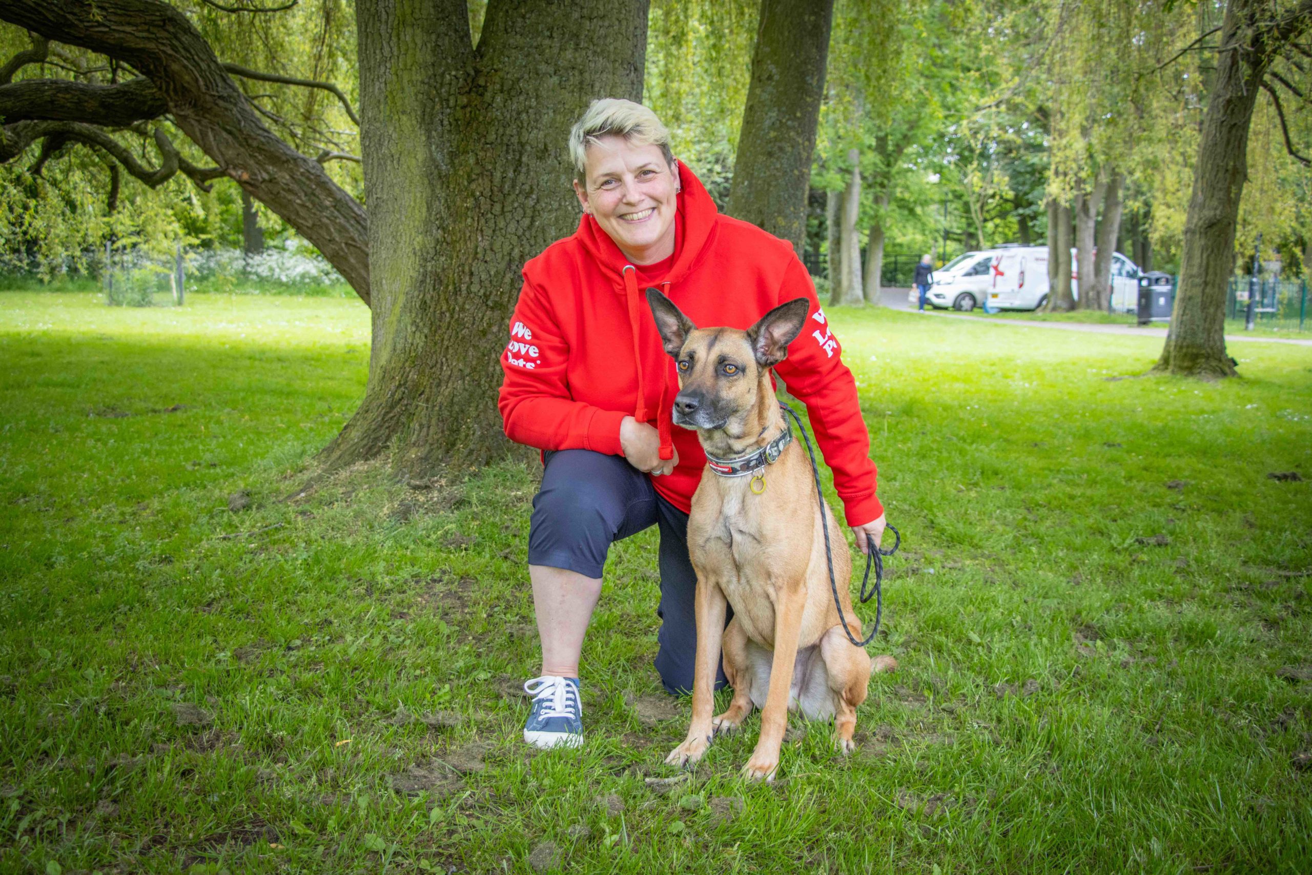 Dog walker and dog sitter in Clevedon
