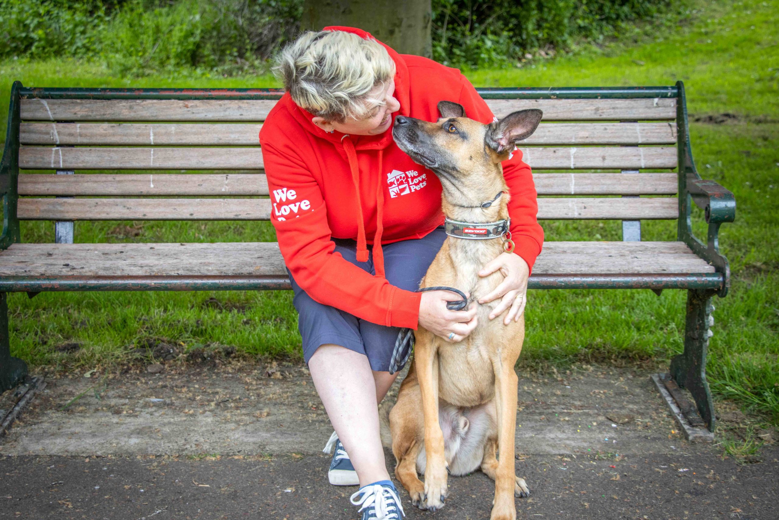 Dog walker and dog sitter in Nailsea and Backwell